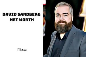 David Sandberg Net Worth 2023 Wiki, Age, Height, Family, And More