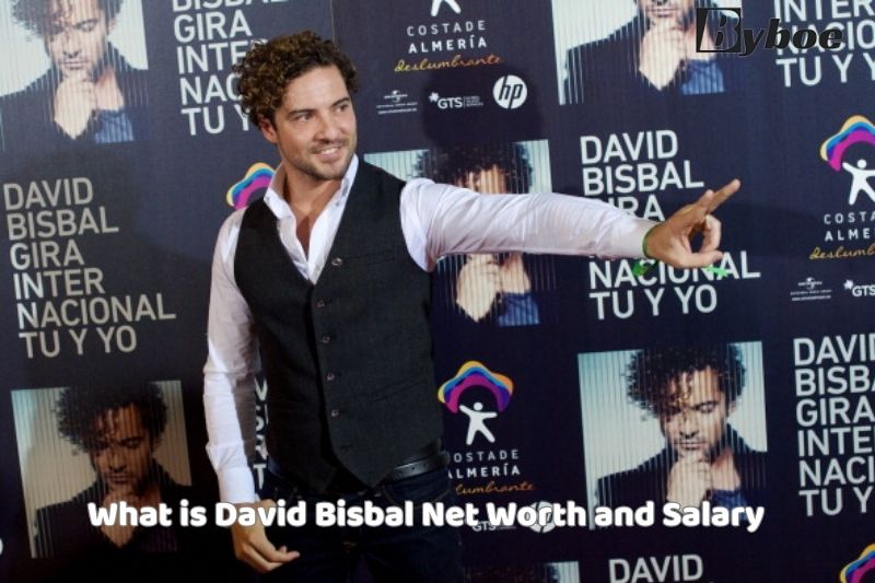 What is David Bisbal Net Worth and Salary in 2023