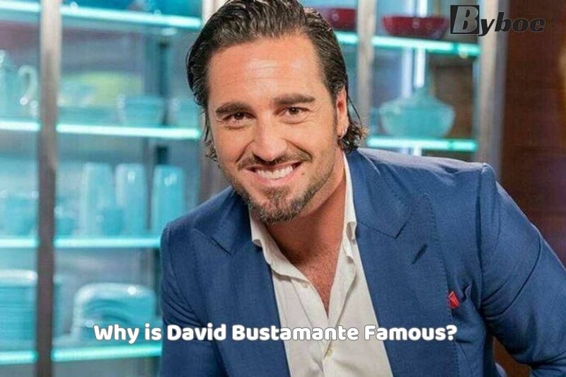 Why is David Bustamante Famous