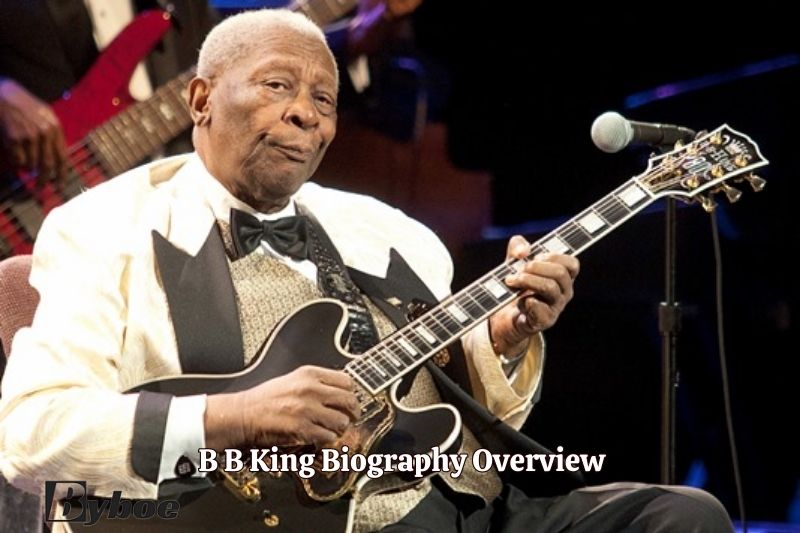 B B King Biography Overview