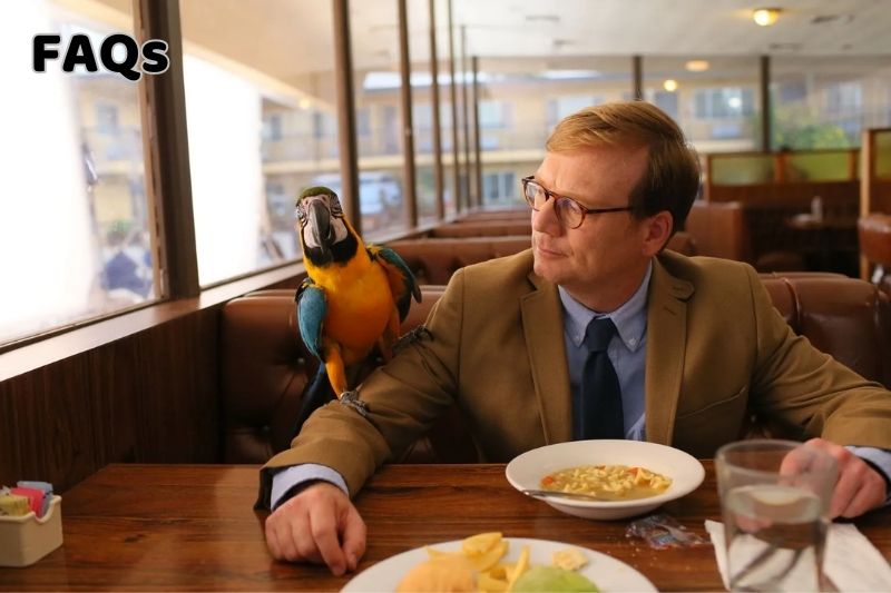 FAQs about Andy Daly