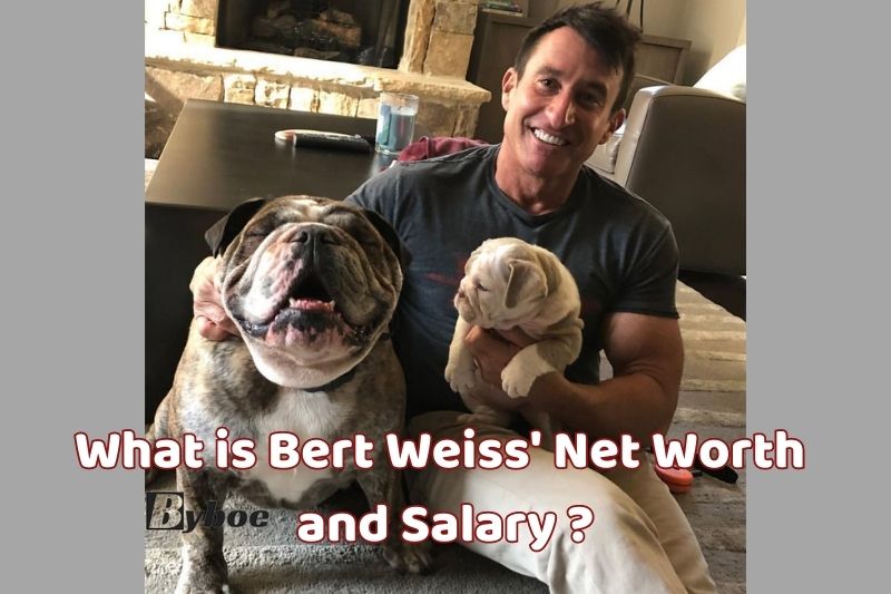 What is Bert Weiss' Net Worth and Salary in 2023