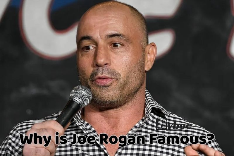 Why is Joe Rogan Famous